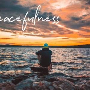 Meet your Posher, Shelley